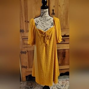 NWT Vibe yellow gold eyelet dress with ruched sleeves. Size 2X.